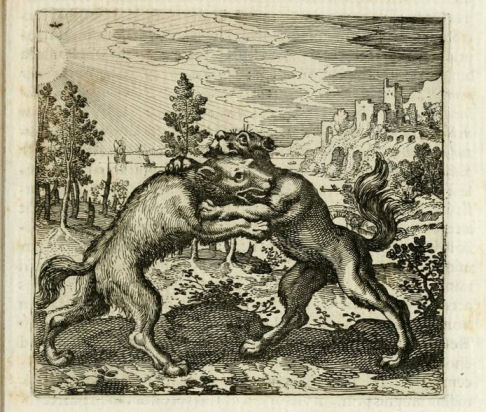 Lecture Image